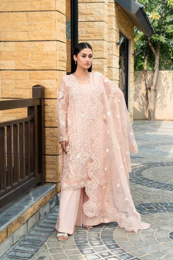 Unstiched Embroided Organza Suit Amal 24-210