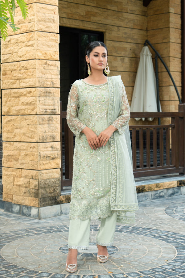 Unstiched Embroided Organza Suit Ayza 24-1016